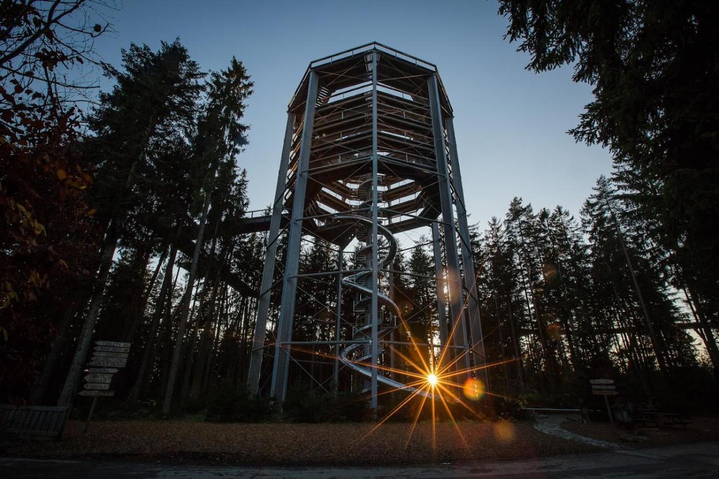 Korzo Family Lejlighed Lipno nad Vltavou Eksteriør billede